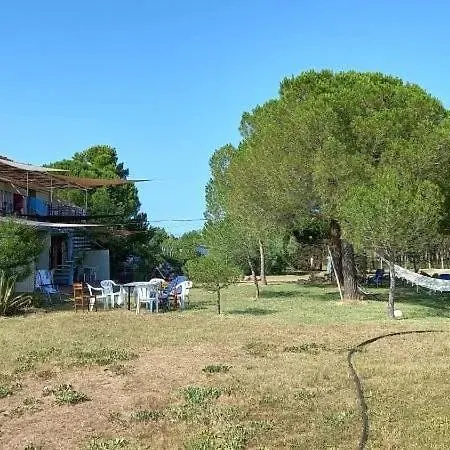 Les Verdisses Daire Agde