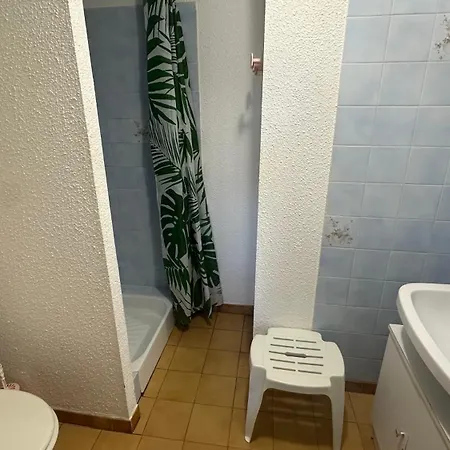 Les Verdisses Apartament *