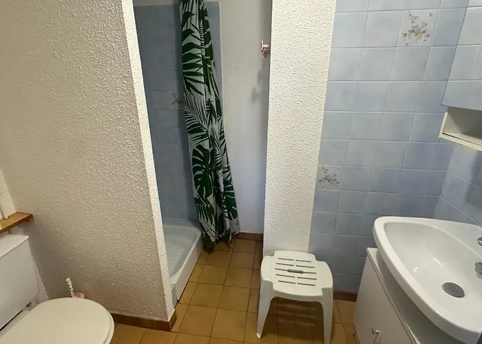 Les Verdisses 아파트 *